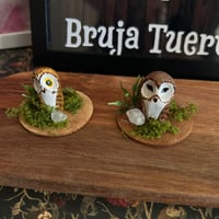 Image 1 of Lechuzas familiares pequeñas con decoración natural.