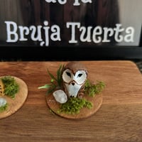 Image 3 of Lechuzas familiares pequeñas con decoración natural.