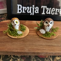 Image 2 of Lechuzas familiares pequeñas con decoración natural.