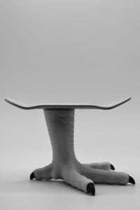 Image 4 of Standard Deck (v2) - Medium Kicks - Checker Chicken