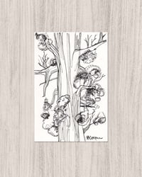 'Tree Study #2' Illustration