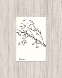 'Tree Study #3' Illustration