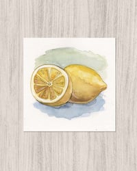 'Lemons Study' Illustration