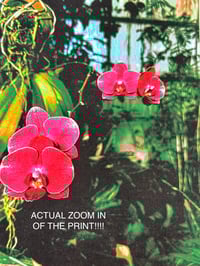 Image of EVERY FLOWER TELL$ A $TORY