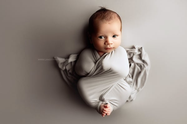 Image of Sawyer BabyPlush / dove gray