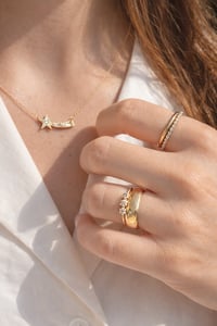 Image 4 of Victorian Wide Band