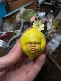 Image 4 of Farmers Market Baby