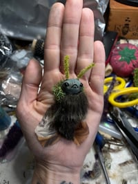 Image 1 of Mini Moth