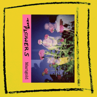 Marigold Cassette