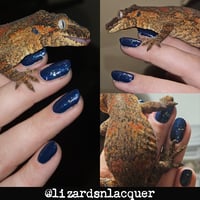 Image 4 of Bitcrusher