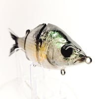 Image 1 of GWP GLIDER - ( SHAD 3pc.)