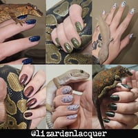 Image 4 of FX (Toppers) Collection