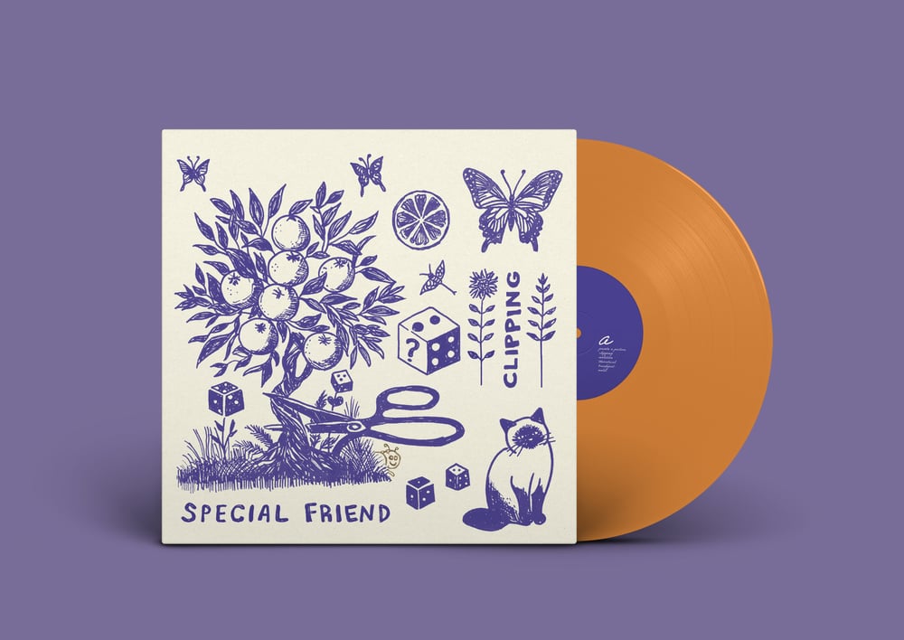 Image of SPECIAL FRIEND - CLIPPING (LP)