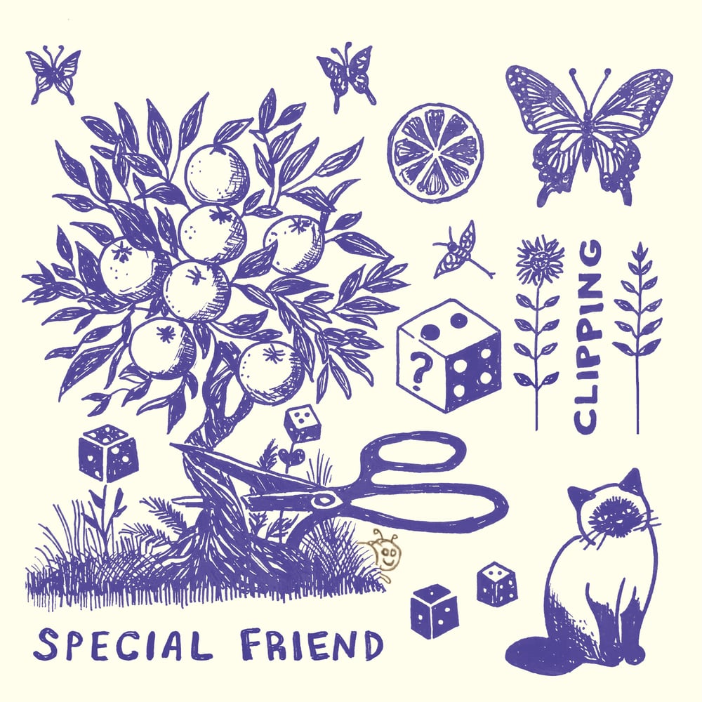 Image of SPECIAL FRIEND - CLIPPING (LP)