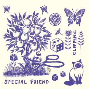 Image of SPECIAL FRIEND - CLIPPING (LP)