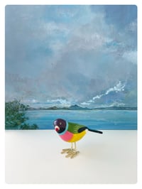 Image 1 of LE DIAMANT DE GOULD / Poussin chips 