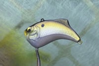 Image 6 of Custom Airbrushed Lipless Crankbait 3301