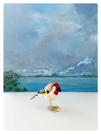 LE CHARDONNERET / poussin chips