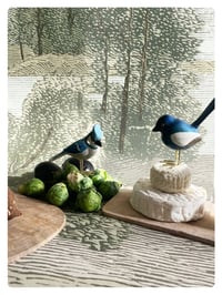 Image 2 of LE MÉRION / poussin chips