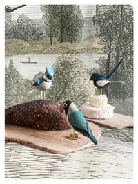 Image 2 of L'INSÉPARABLE / poussin chips