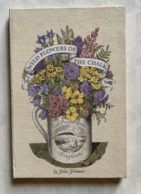 Image 1 of Wild flowers of the chalk vintage King Penguin book