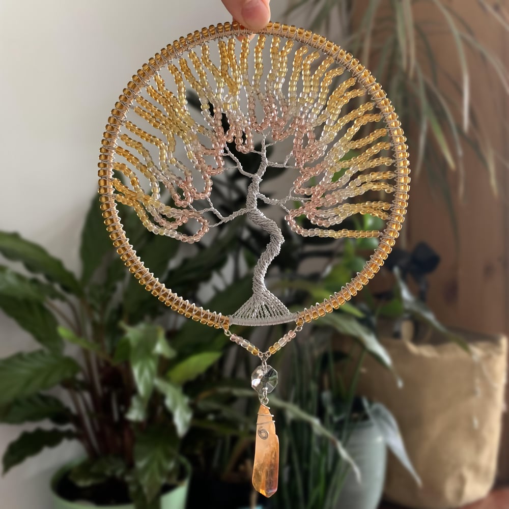 Image de -----Image of #####Champagne