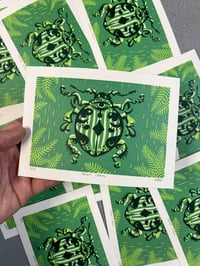 Image 4 of Forest Crawl