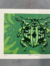 Image 5 of Forest Crawl