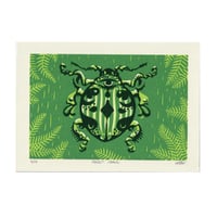 Image 1 of Forest Crawl