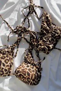 Image 1 of ♲ Leopard Print Bikini Set - 2XL 