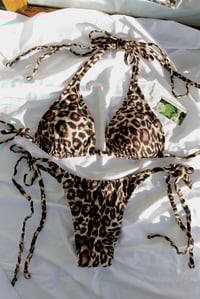 Image 2 of ♲ Leopard Print Bikini Set - 2XL 