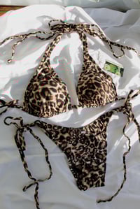 Image 3 of ♲ Leopard Print Bikini Set - 2XL 