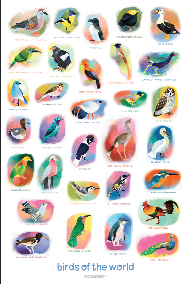BirbFest 2026 Birds of the World 12 x 18 poster