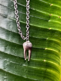 Image 1 of Small Tooth Necklace