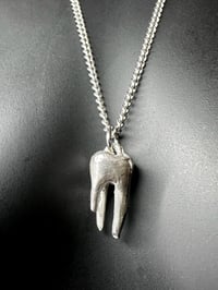 Image 2 of Small Tooth Necklace
