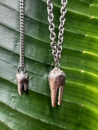 Image 3 of Small Tooth Necklace