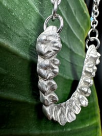 Image 2 of Full Set of Teeth Necklace