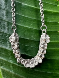 Image 1 of Full Set of Teeth Necklace