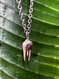 Image 1 of Large Tooth Necklace