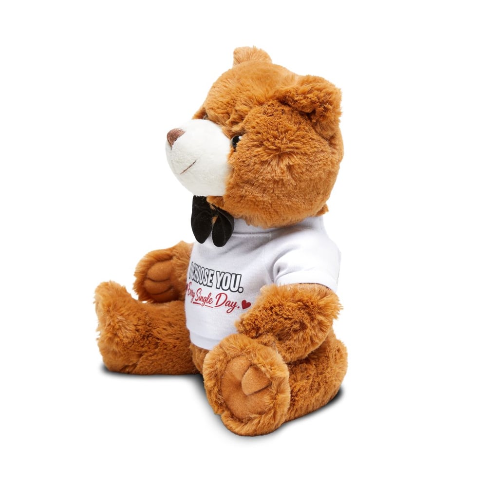 Image of Valentine Teddy Bear Plush — "I Choose You Every Single Day" T-Shirt Bear