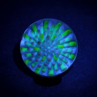 Image 1 of Abyssal Bloom