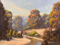 Image 1 of The Wolgan River