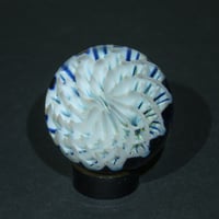 Image 4 of Midnight Anemone