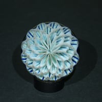 Image 2 of Midnight Anemone