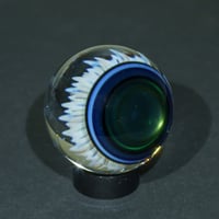 Image 9 of Midnight Anemone