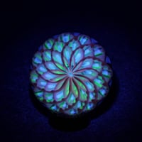 Image 1 of Midnight Anemone