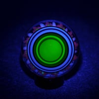 Image 11 of Midnight Anemone