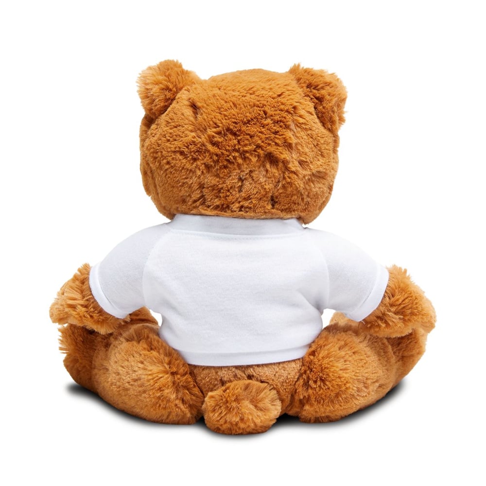 Image of “I Feel Safe With You” Plush Teddy Bear with Heart Tee