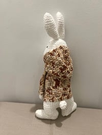 Image 3 of Lou the Rabbit