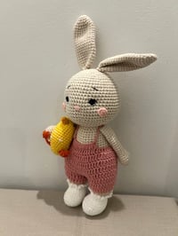 Image 2 of Lumi the Rabbit with a chicken friend